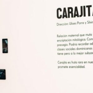 Una exposición llamada “Metáforas” (6)
